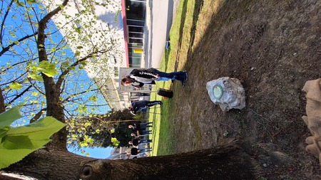 Lipa župan Šentjur